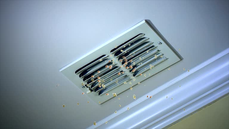 Best Commercial Air Duct Cleaning  in Waynesville, NC