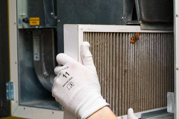 Best Ductwork Cleaning Services  in Waynesville, NC