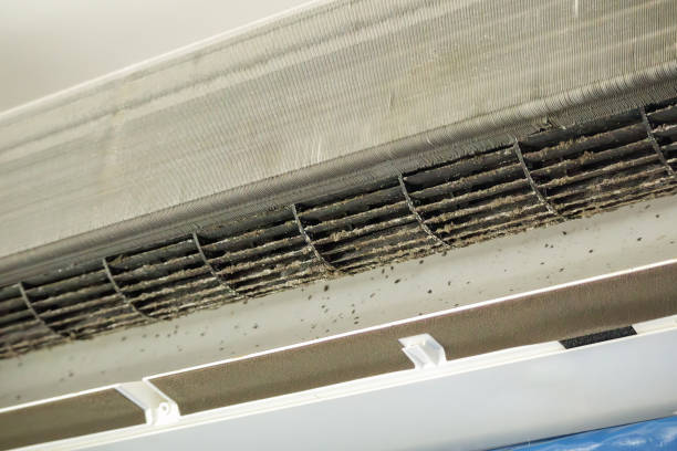 Best HVAC System Cleaning  in Waynesville, NC